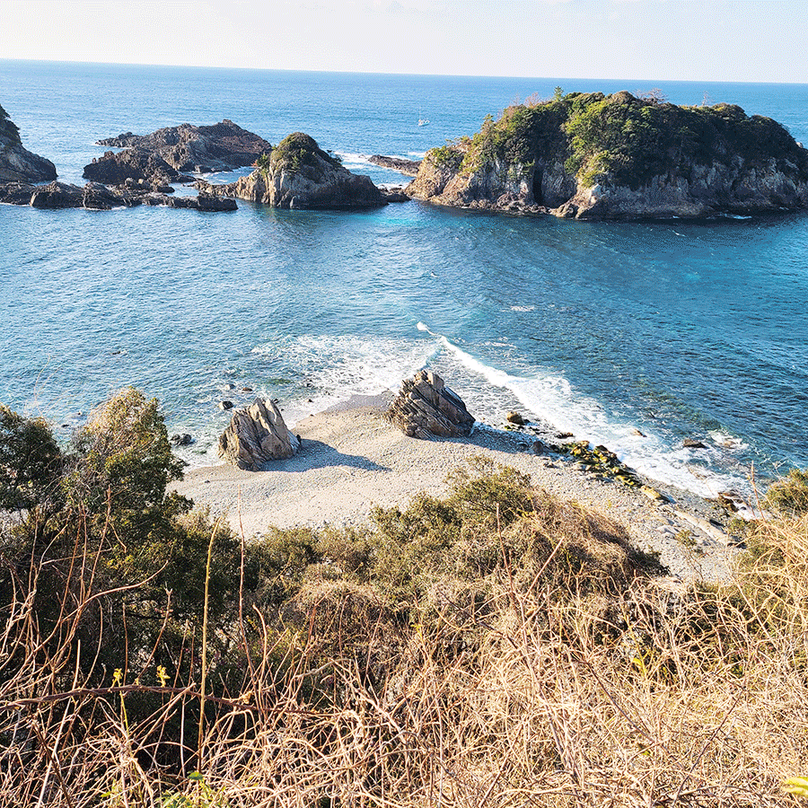 もうすぐさくら開花前線が北上してきます 白浜ランスロットマンションhp