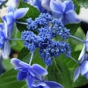 Thumbnail of related posts 044