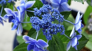 Thumbnail of post image 057