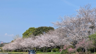 Thumbnail of post image 032